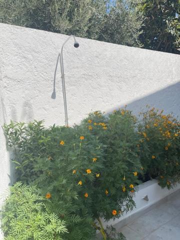 Marena 1 Aparthotel Makry Gialos  Exterior photo